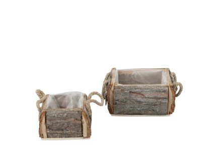 238 1 pixelcut export 2025 06 24t161636 855