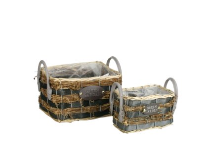 250 1 pixelcut export 2025 06 24t172816 316