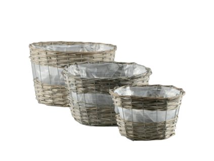 262 1 pixelcut export 2025 06 24t163821 065