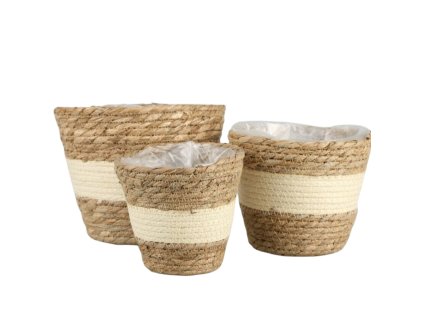 283 1 pixelcut export 2025 06 24t171909 452