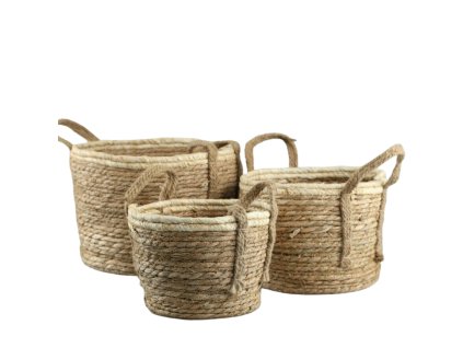 286 1 pixelcut export 2025 06 24t161504 145