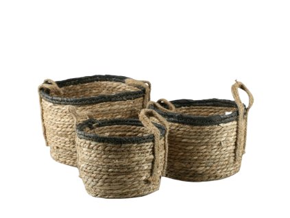 289 1 pixelcut export 2025 06 24t161353 177