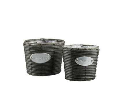 295 1 pixelcut export 2025 06 24t161255 000