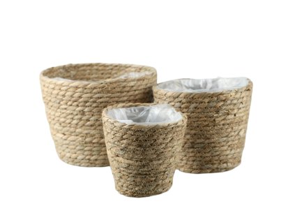 304 1 pixelcut export 2025 06 24t165422 428