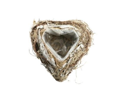 433 1 pixelcut export 2025 07 02t125759 859