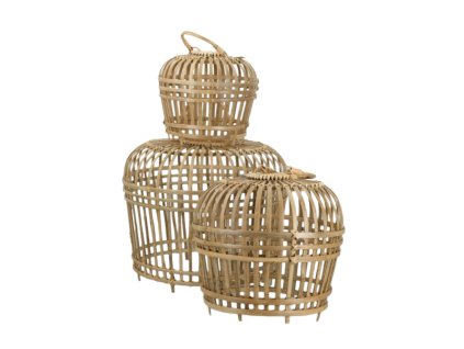 4783 1 pixelcut export 286