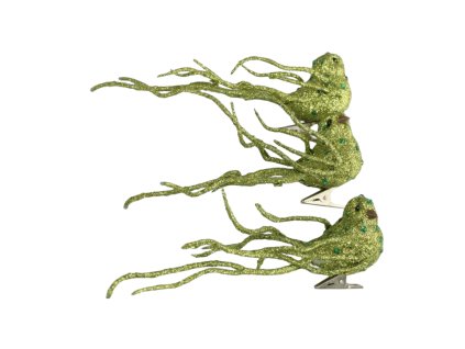 5155 1 pixelcut export 538