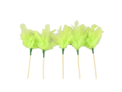 5293 1 pixelcut export 463