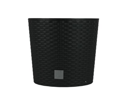 pixelcut export(182)