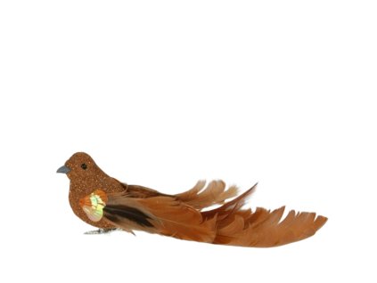 5353 1 pixelcut export 531