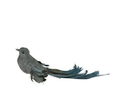 5362 1 pixelcut export 532