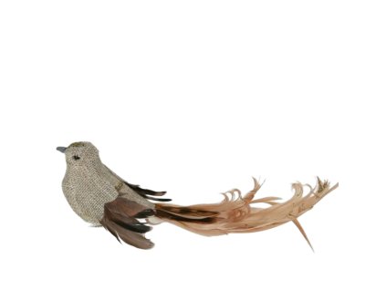 5365 1 pixelcut export 525