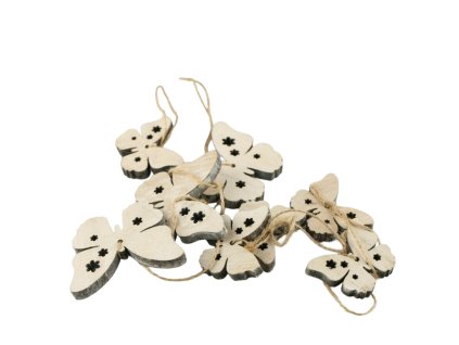 5539 1 pixelcut export 2025 06 29t212820 939