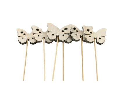 5545 pixelcut export 27