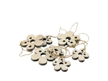 5554 1 pixelcut export 55