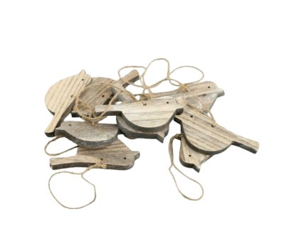 5560 1 pixelcut export 2025 06 29t212618 698