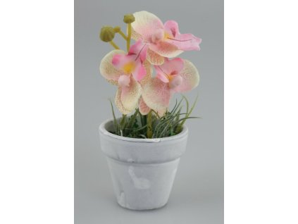 Aranžmán ružová orchidea 14cm