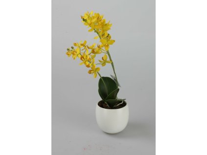 60464-04 Orchidea v keramike žltá 39cm