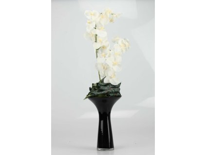 Orchidea v čiernej váze krémová 70cm
