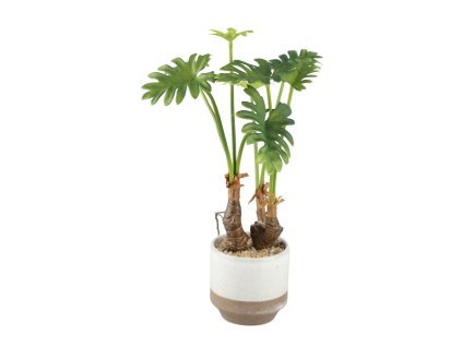 55129 Philodendron 46cm