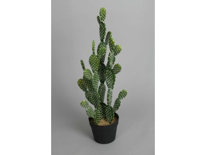 Kaktus 76cm