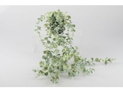 Rastlina zelená visiaca 60cm