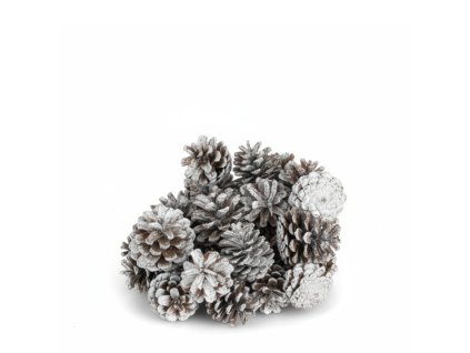 7723 1 pixelcut export 270