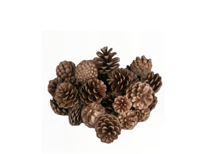 7729 1 pixelcut export 274