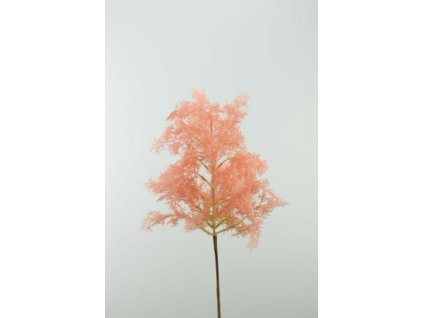 135982 Tráva ozdobná ružová 88cm