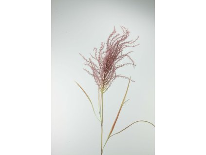 137509 Tráva fialová 134cm