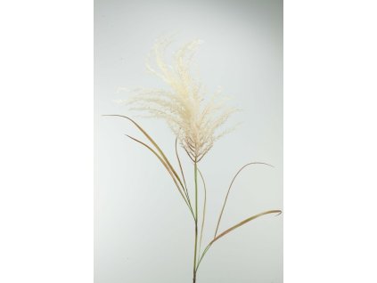 137510 Tráva krémová 134cm
