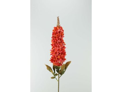 Hyacint červený 93cm