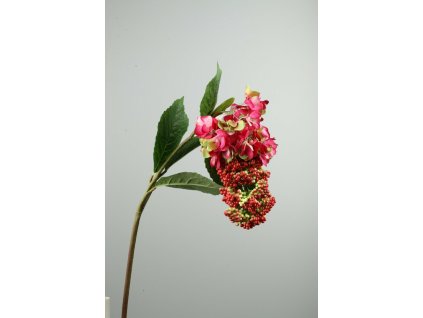Hydrangea ružová 82cm