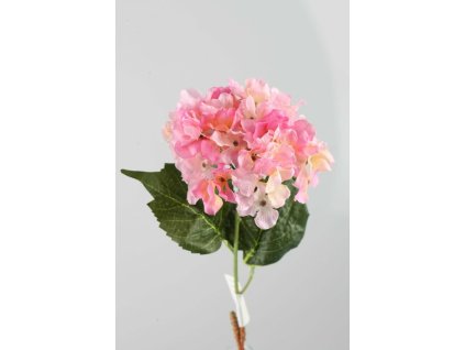 Hydrangea ružová 51cm