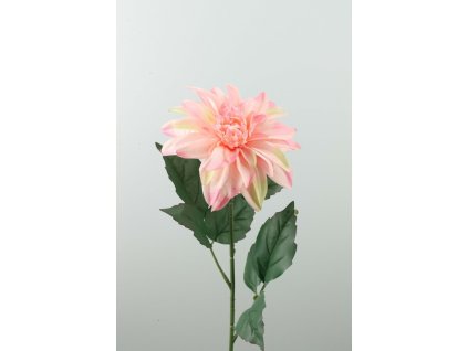Dahlia ružová 61cm