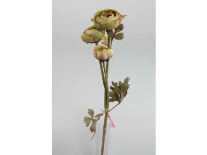 Ranunculus 3-kv hnedý 66cm