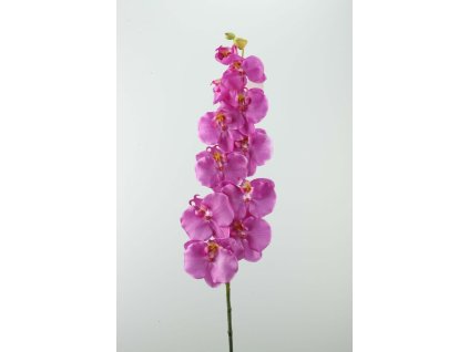 Orchidea fialová 106cm