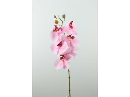 60452-31 Orchidea ružová 78cm
