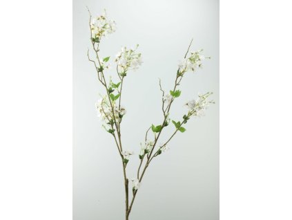 Konár čerešne biely 129cm
