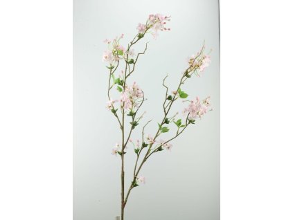 Konár čerešne bl.ružový 129cm