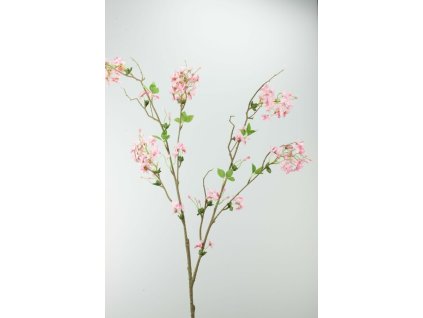 Konár čerešne ružový 129cm