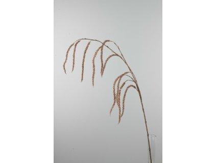 24635-31 Vŕba vetva zlatá 117cm