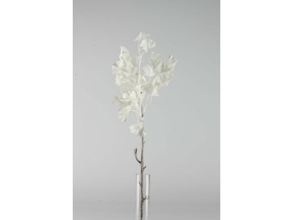 24914-19 Ginkgo biele 57cm
