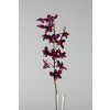 10282 10282 24683 09 orchidea vetva tm ruzova 80cm