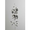 10309 10309 orchidea strieborna 66cm