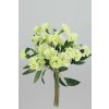 Kytica Dianthus zelená 31cm