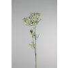 768069 Heracleum biely 95cm