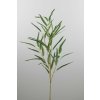 6319 6319 57401 01 eucalypthus nicoly zeleny 96cm