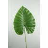 6436 6436 philodendron list 105cm