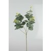 Eucalyptus 65cm